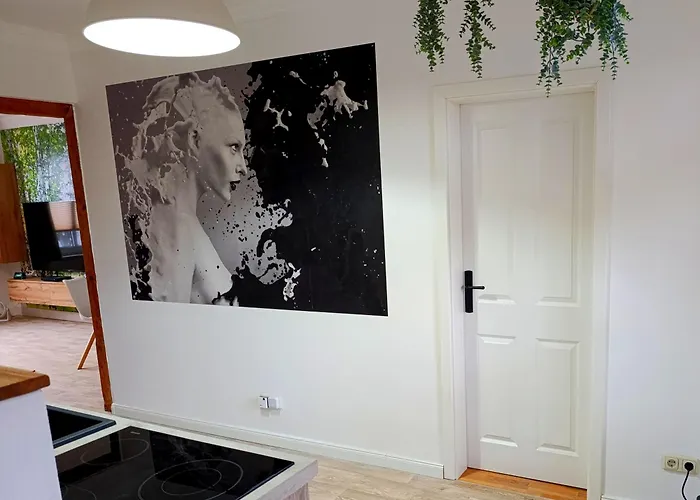 Harzbrise - Mit Sauna, Smarthome, Wallbox Apartment Ballenstedt